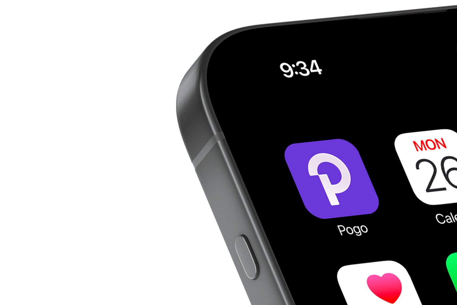 sutkaitis.info_Pogo_1