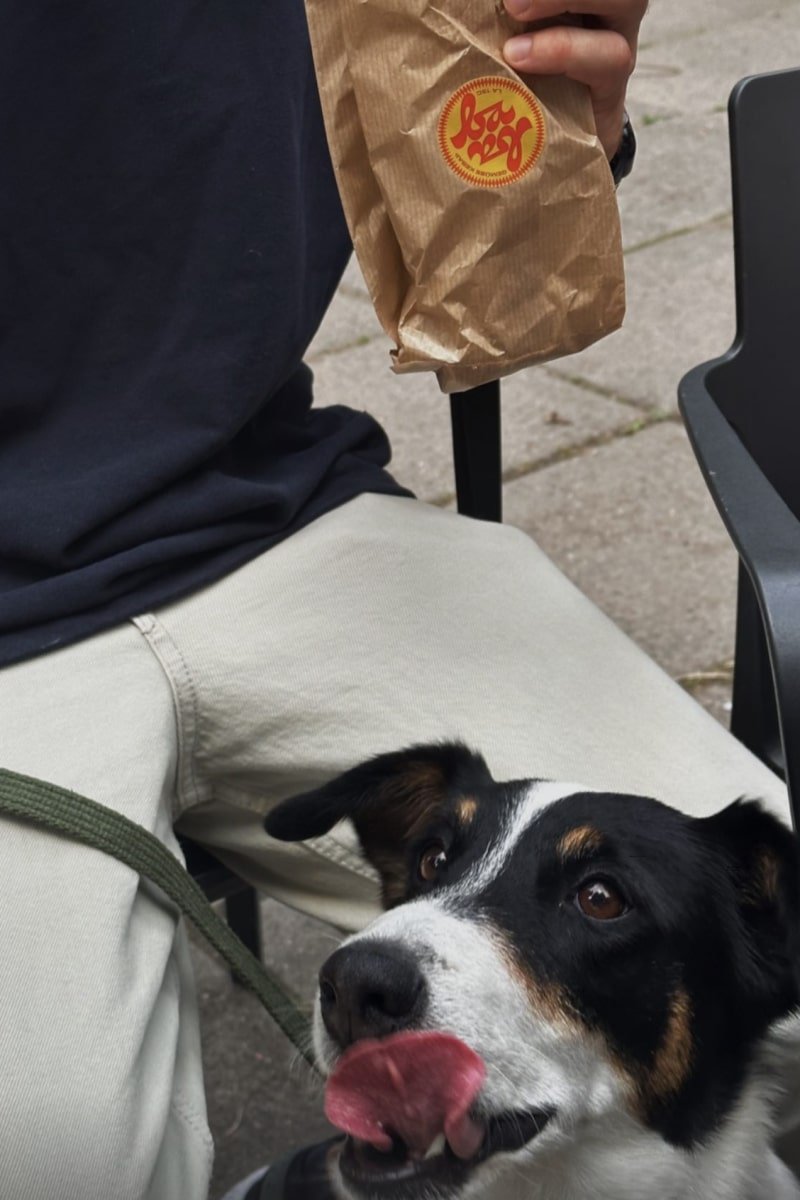 sutkaitis.info_Baba Gemüse Kebap_3