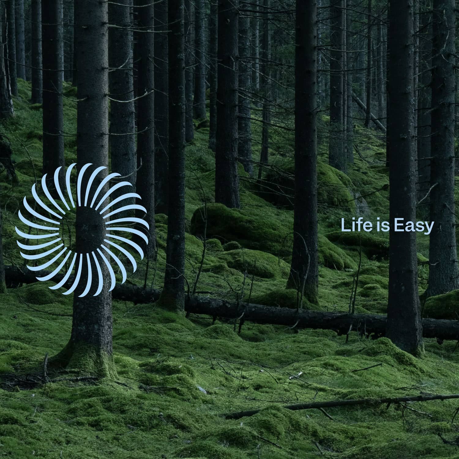 sutkaitis.info_Nordic Logic_9